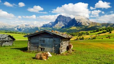 L’alpicoltura svolge molte funzioni importanti