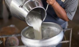 Milchwirtschaft