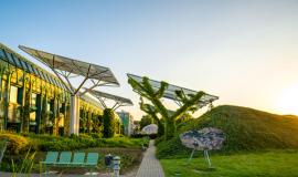 Nature based solutions und Entsiegelung Nature based solutions und Entsiegelung