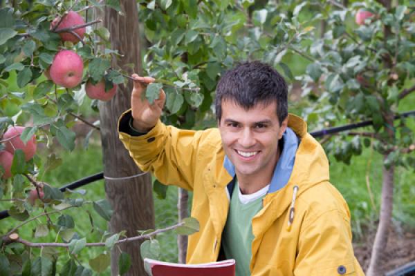 Wirtschaftsbarometer Landwirtschaft