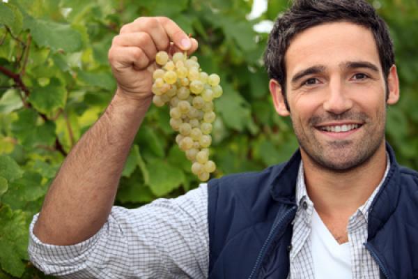 weinbauer