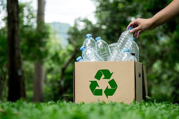 bottiglie di plastica in una scatola di cartone