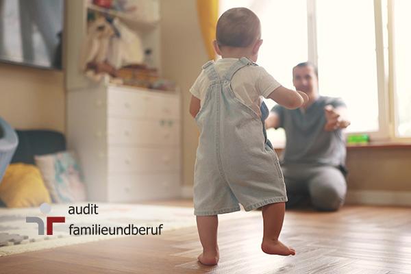 audit familieundberuf