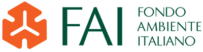 Logo FAI