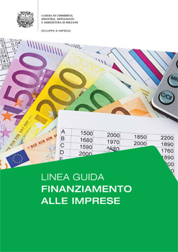 Copertina Guida al  finanziamento aziendale